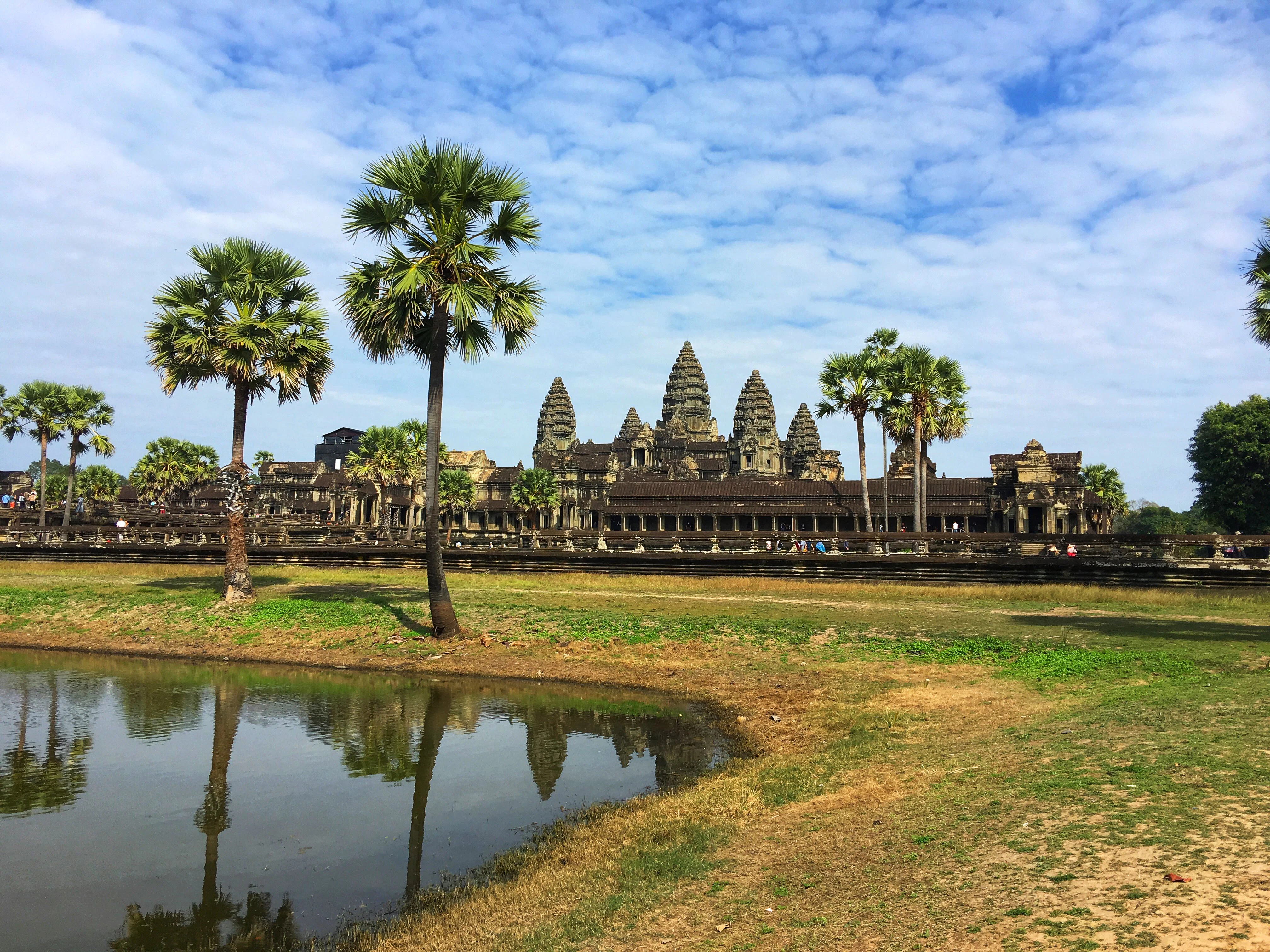 Angkor Wat temple with palm trees, a grassy area, and a reflecting pond under a partly cloudy sky.