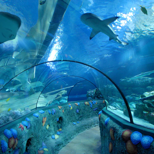 Gardaland SEA LIFE Aquarium: bilhete de entrada - Photo 9