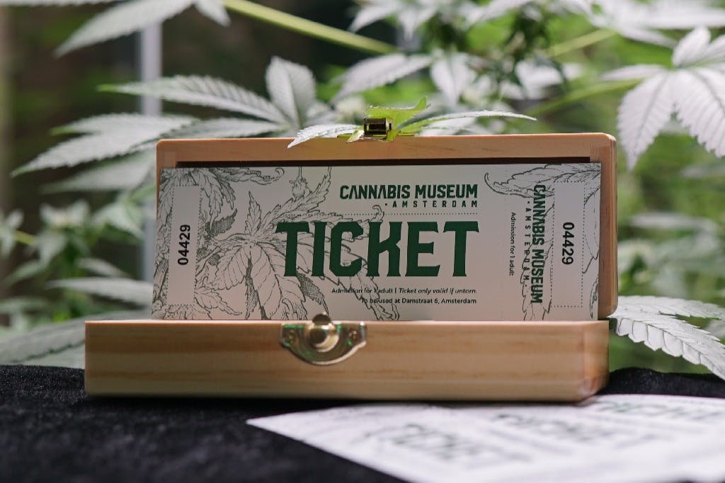 Musée du cannabis à Amsterdam