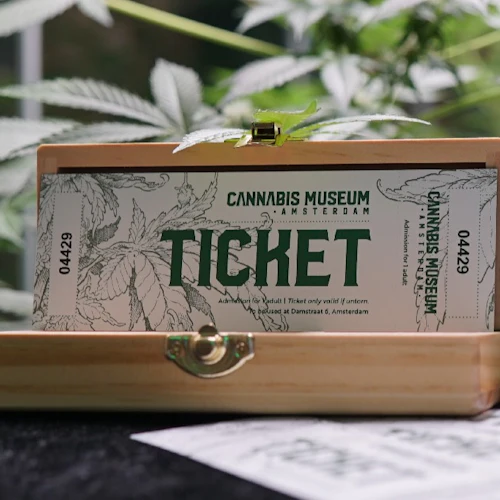Museu da Cannabis em Amsterdã: bilhete de entrada + audioguia - Photo 7