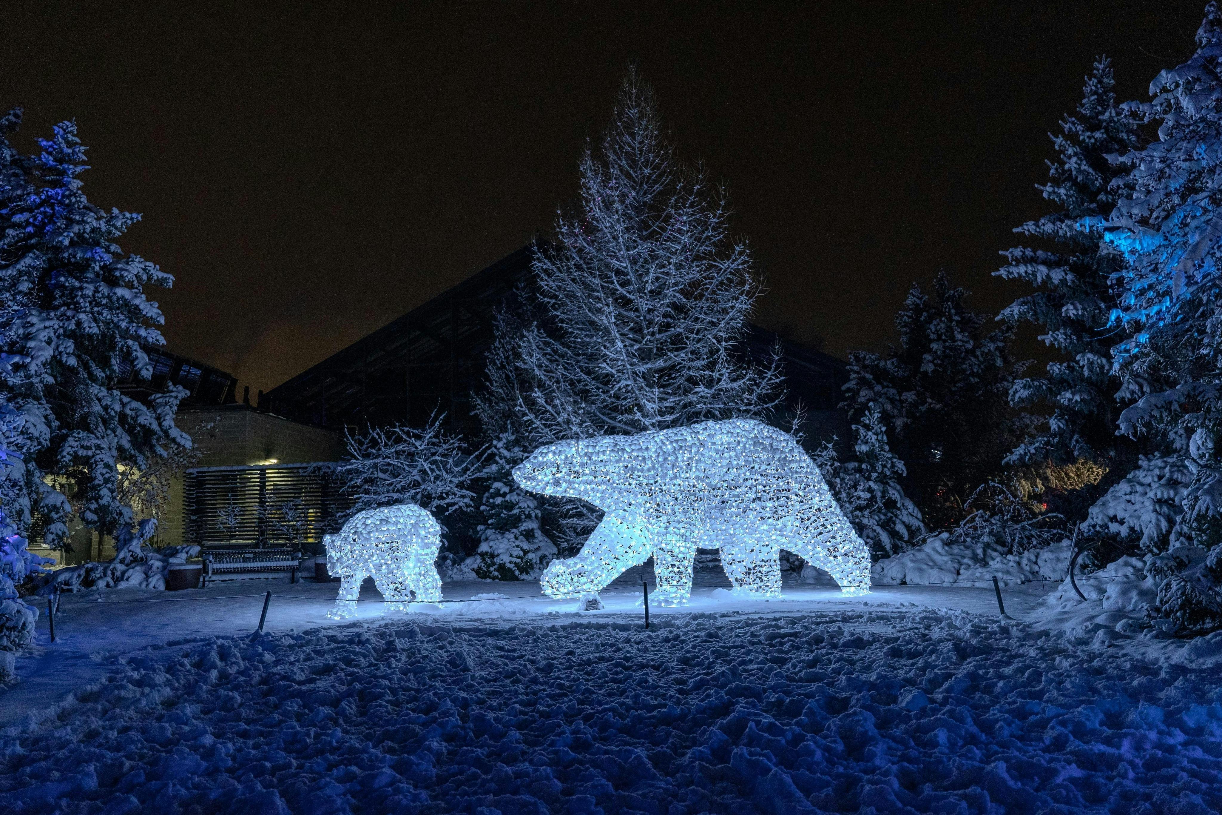 밤에 눈 덮인 나무 사이로 비춰진 두 개의 북극곰 조각상.