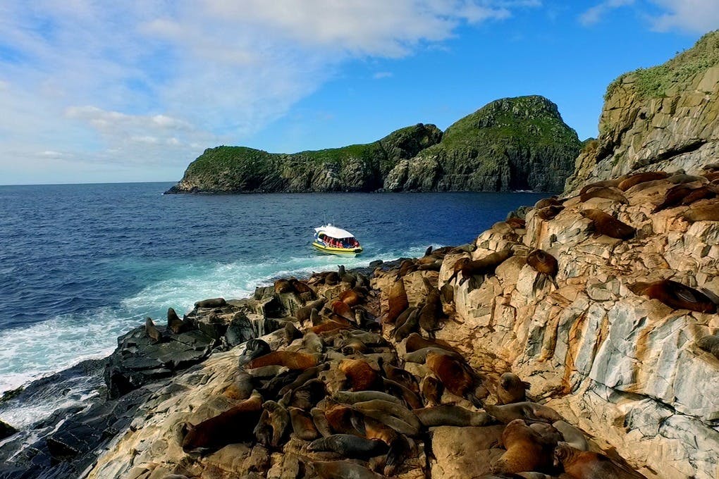 Bruny Island: Guided Bus Tour From Hobart + Cruise + Lunch - Photo 7
