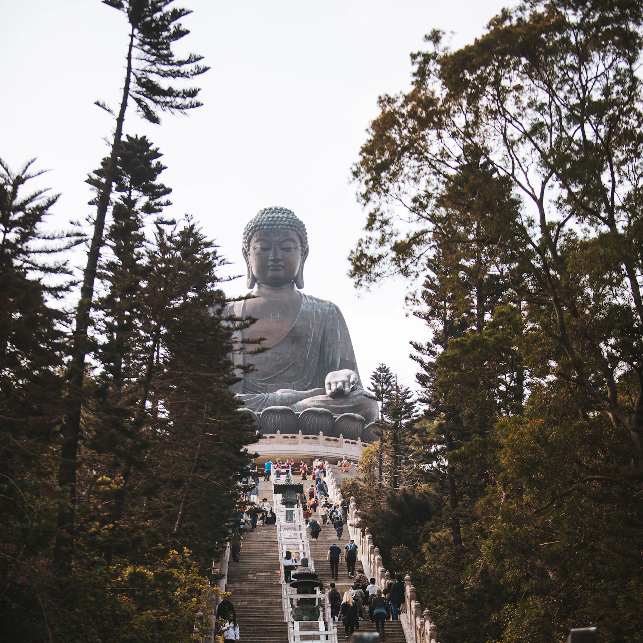 Ngong Ping Cable Car: Standard/Crystal Cabin in Lantau Island β Tiqets