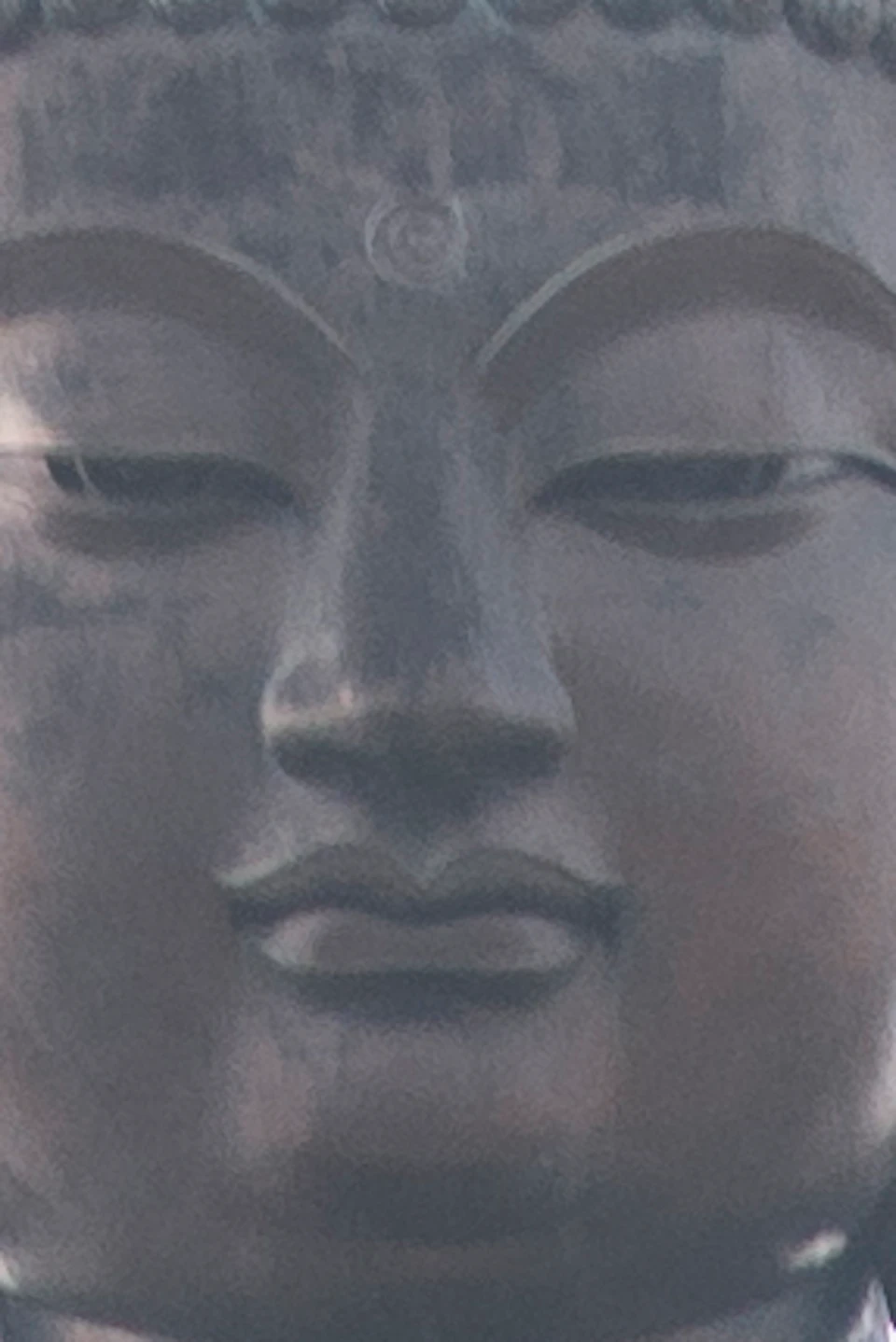 Large Buddha statue on hill, viewed through trees. People walk up broad stone staircase towards the statue. Sky is overcast.
