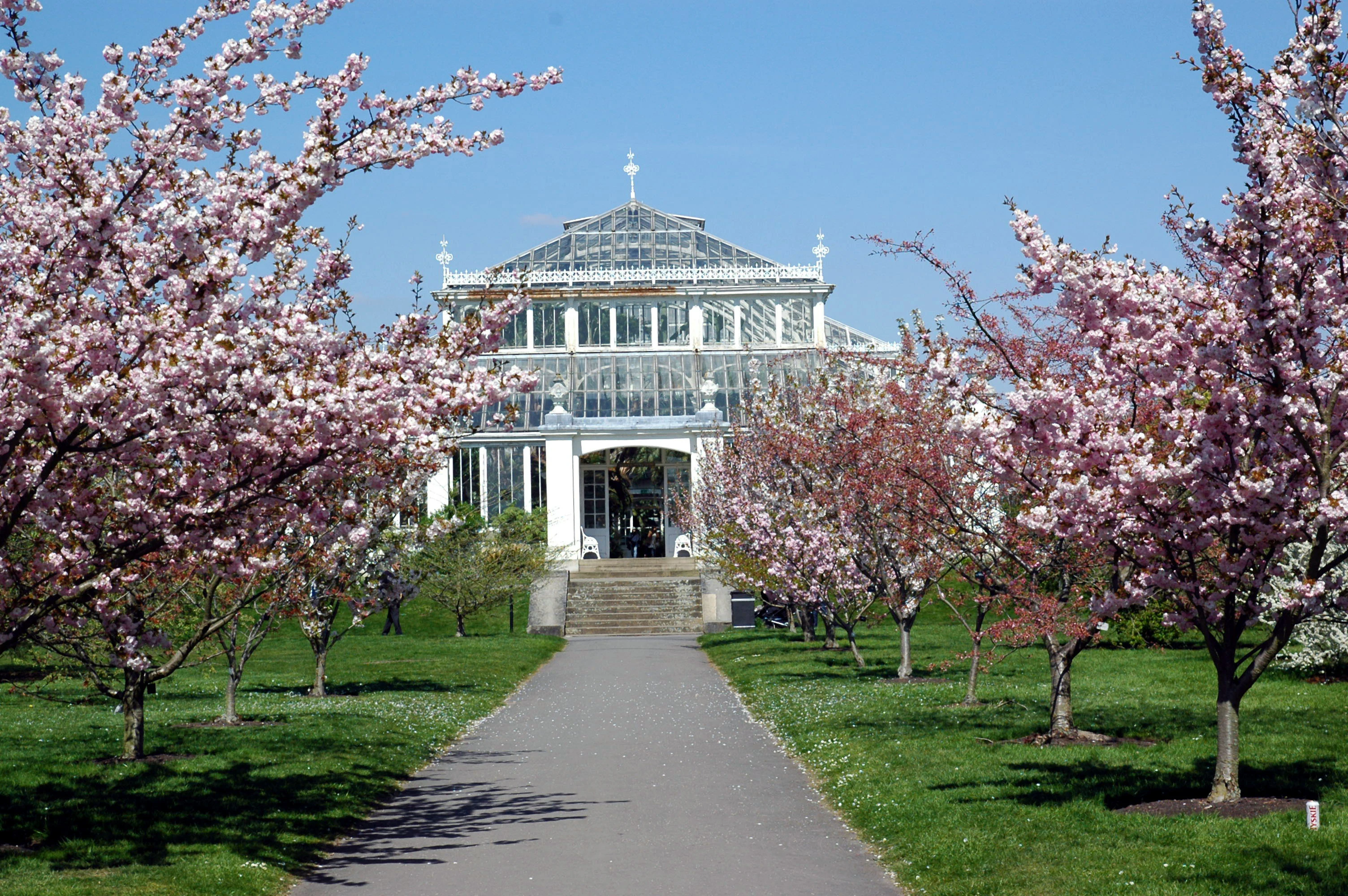 Kew Gardens: Entry Ticket