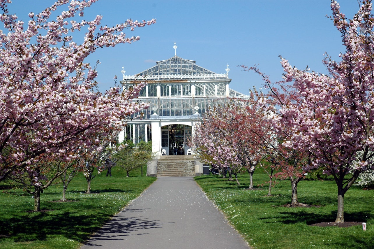 Kew Gardens: Entry Ticket