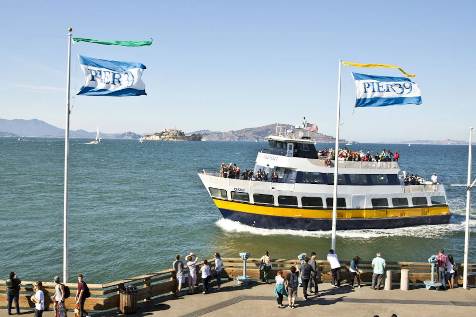 1-Day Hop on Hop off Bus + San Francisco Bay Cruise