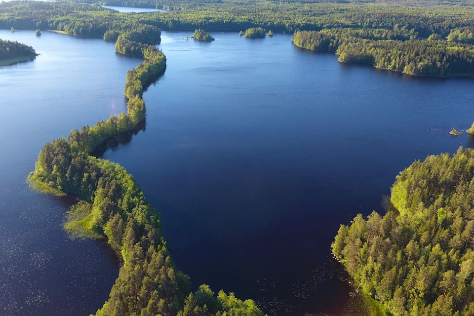 Lake Liesjärvi National Park