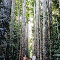 Paronella Park: Entry Ticket 2