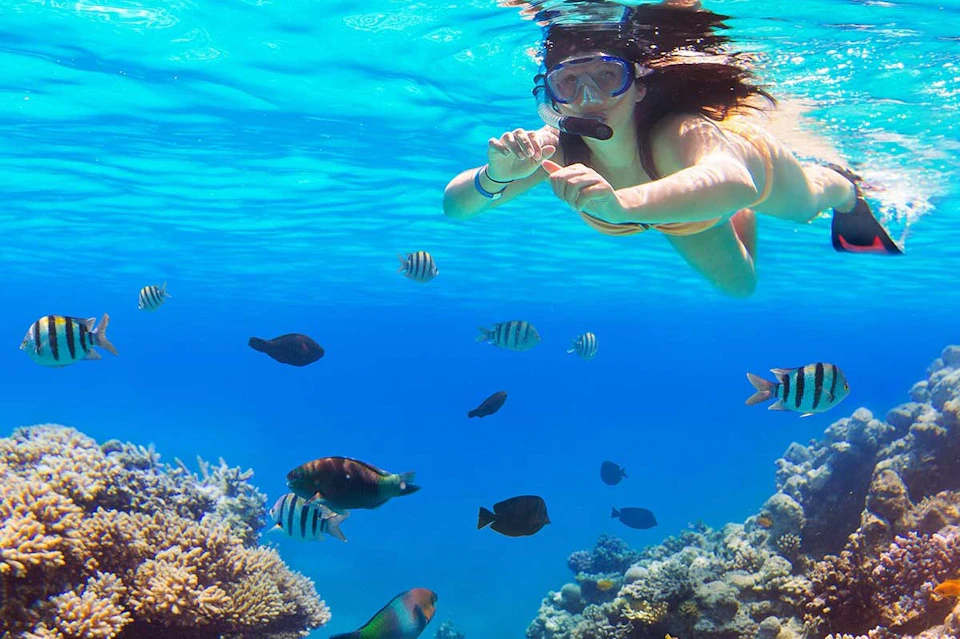 Orange Bay Snorkeling Trip & Parasailing & Water Sports With Transfer - Hurghada