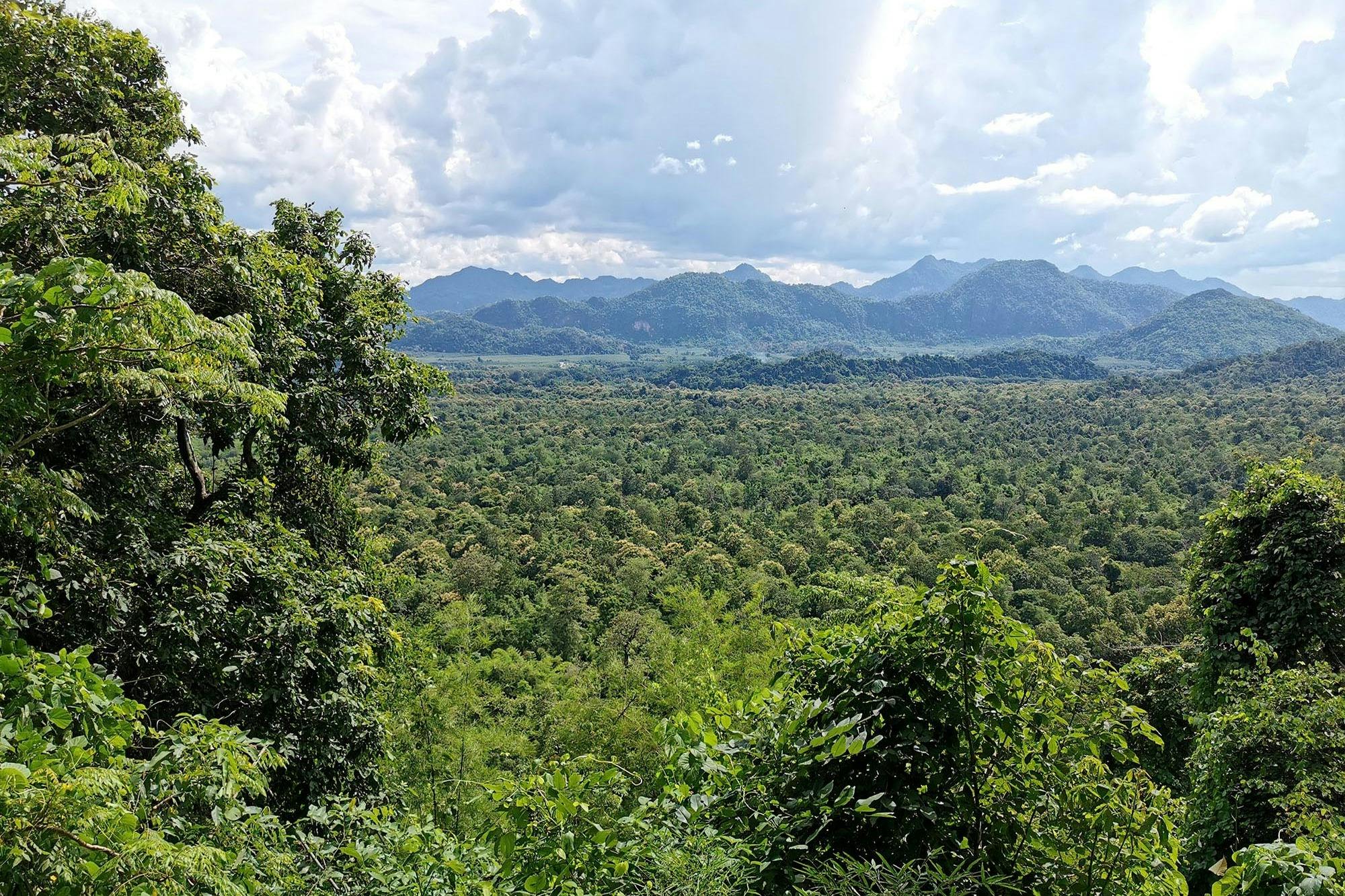 Μαγευτείτε από το μεγαλείο των τοπίων και τη βαριά ιστορία αυτής της ζούγκλας.