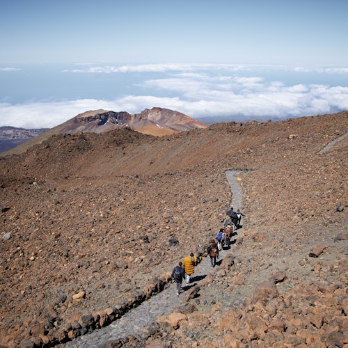 Teide Volcano: Guided Tour + Roundtrip Transport