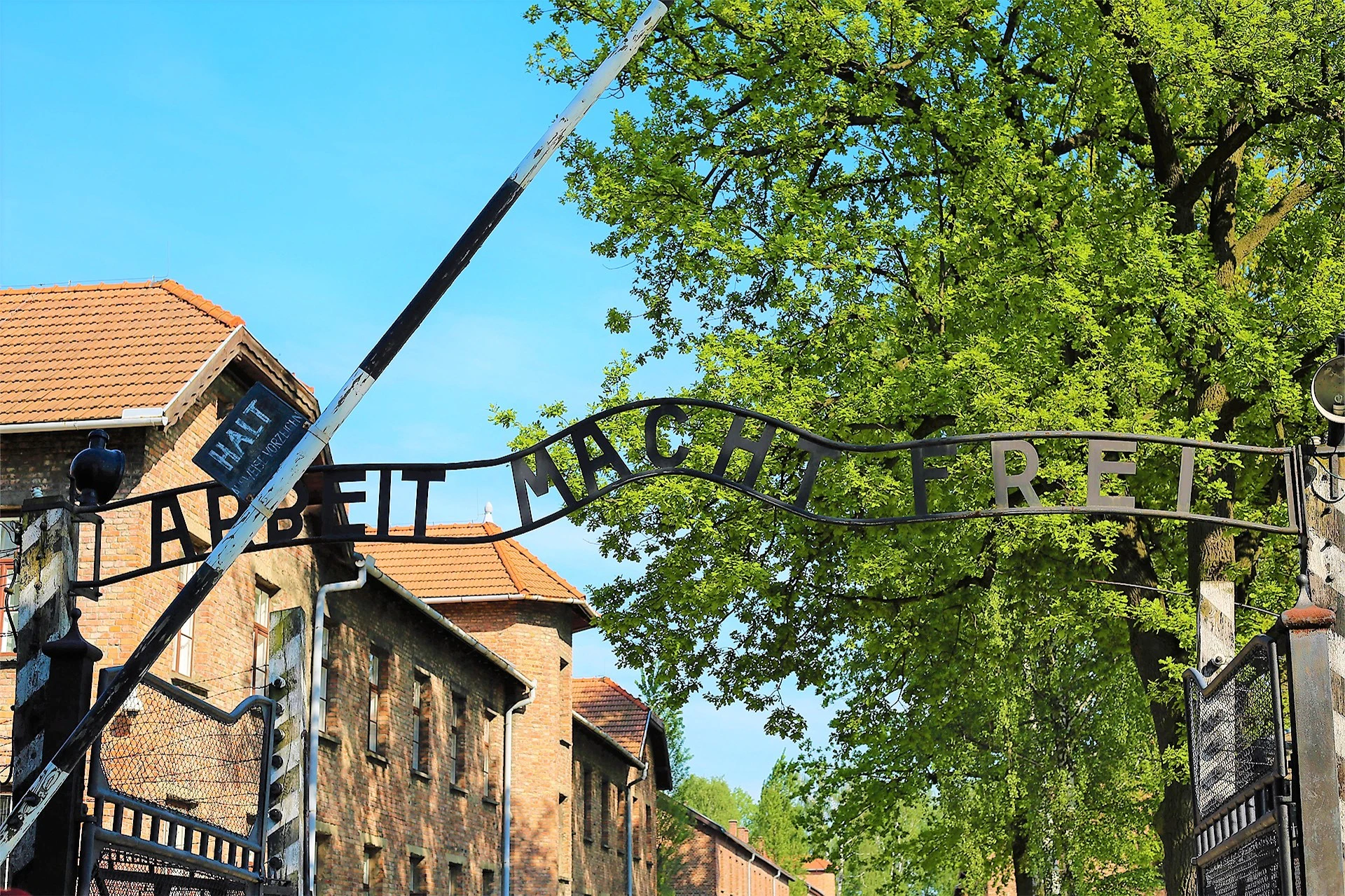 Auschwitz Birkenau Museum