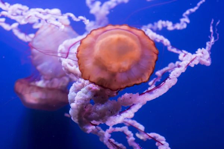 塞維利亞水族館門票