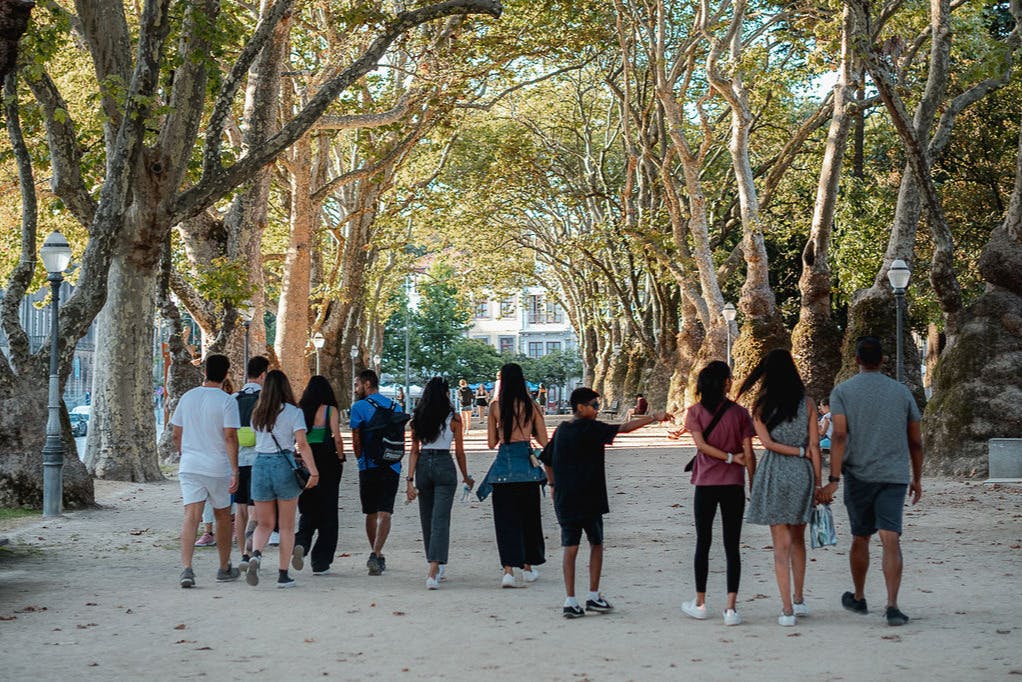 A group is walking in a forest-looking space.