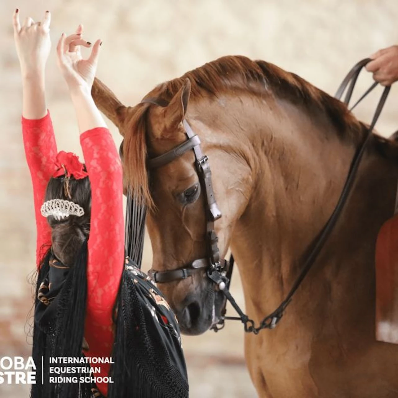 Equestrian Show