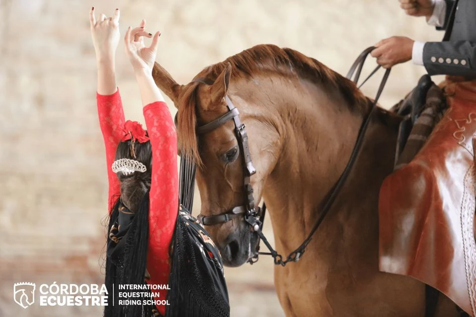 Equestrian Show