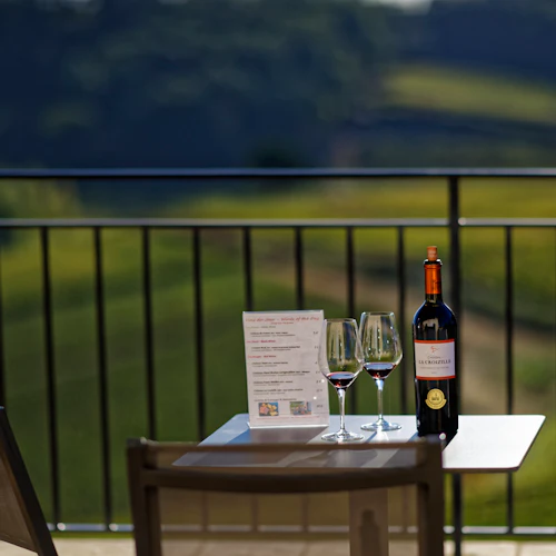 Château La Croizille: tour guiado + degustação de vinho - Photo 5