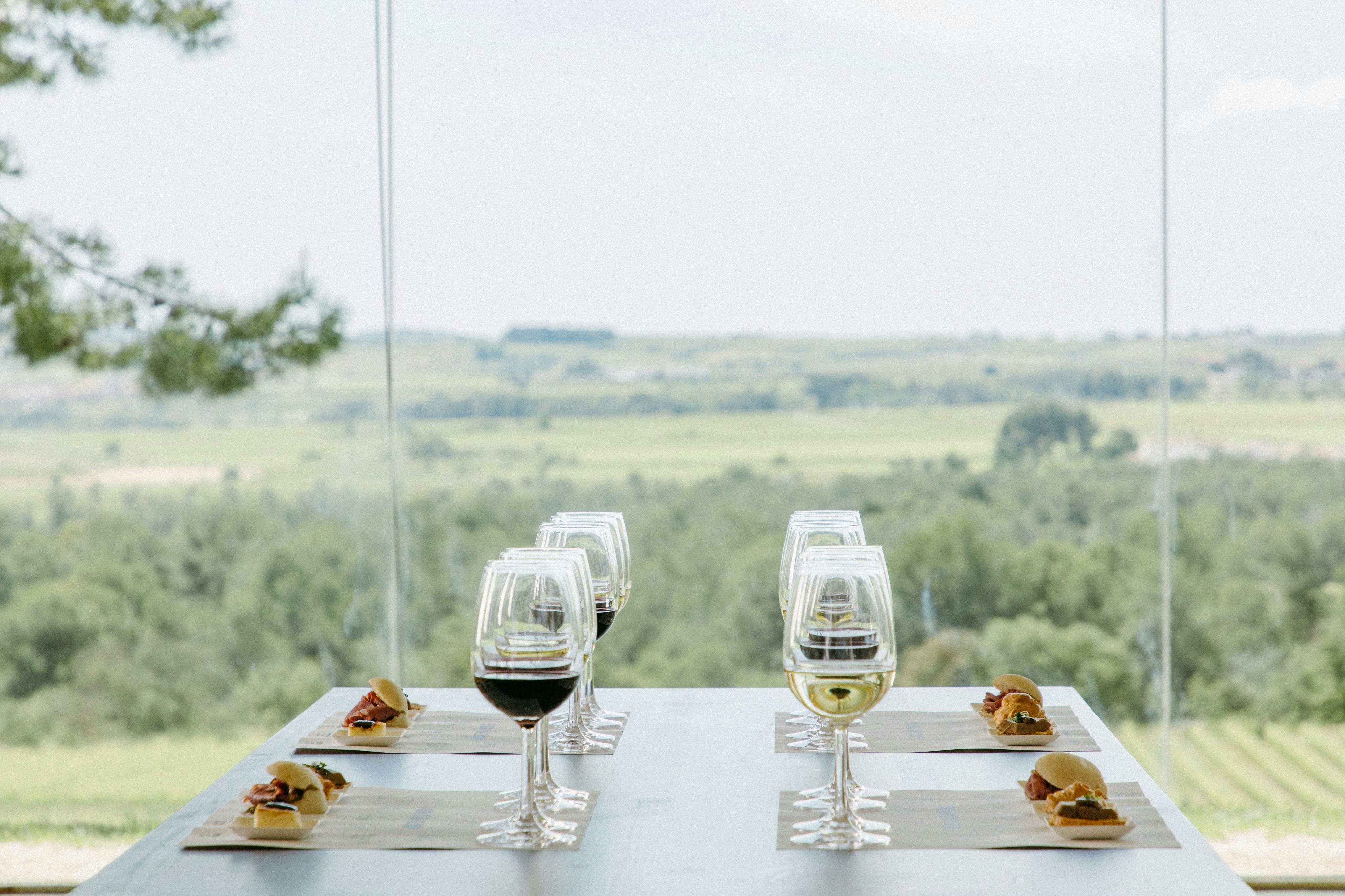 Jean Leon Winery: Guided Tour + Wine & Tapas Pairing