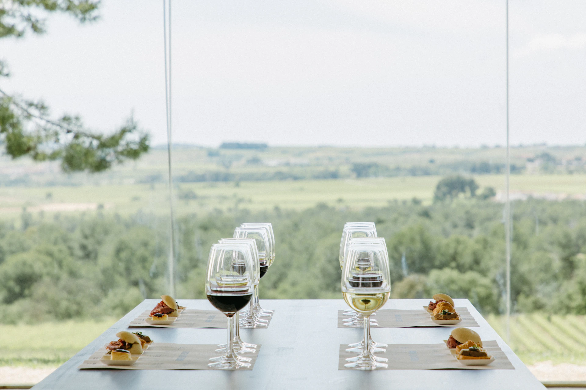 Four wine glasses with different wines are arranged on a table with appetizers, set against a scenic countryside view.