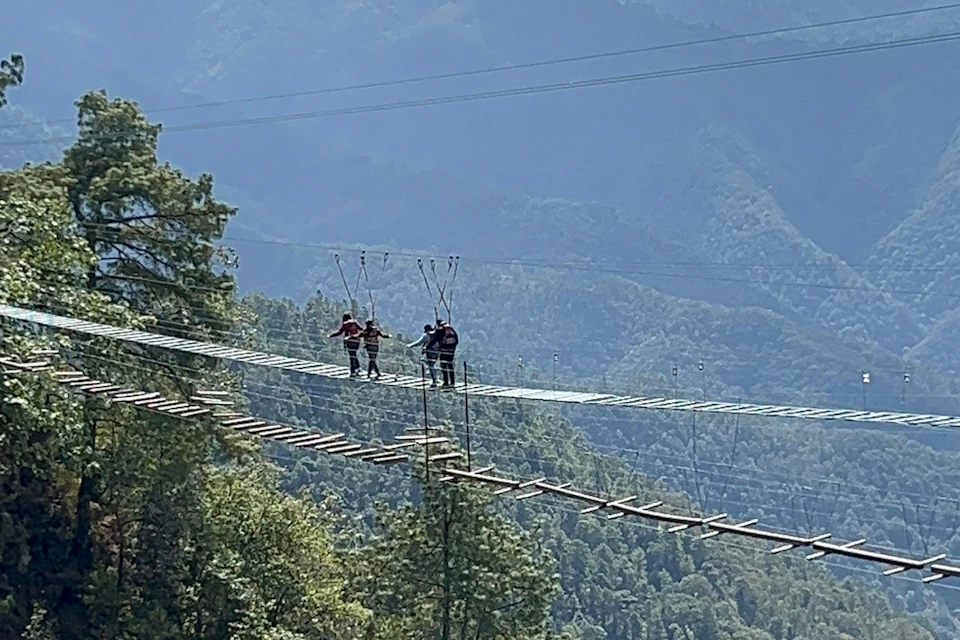 Three people walking on a suspension bridge high above a forested valley with mountains in the background.
