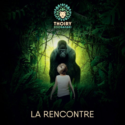 ZooSafari de Thoiry: Sin colas