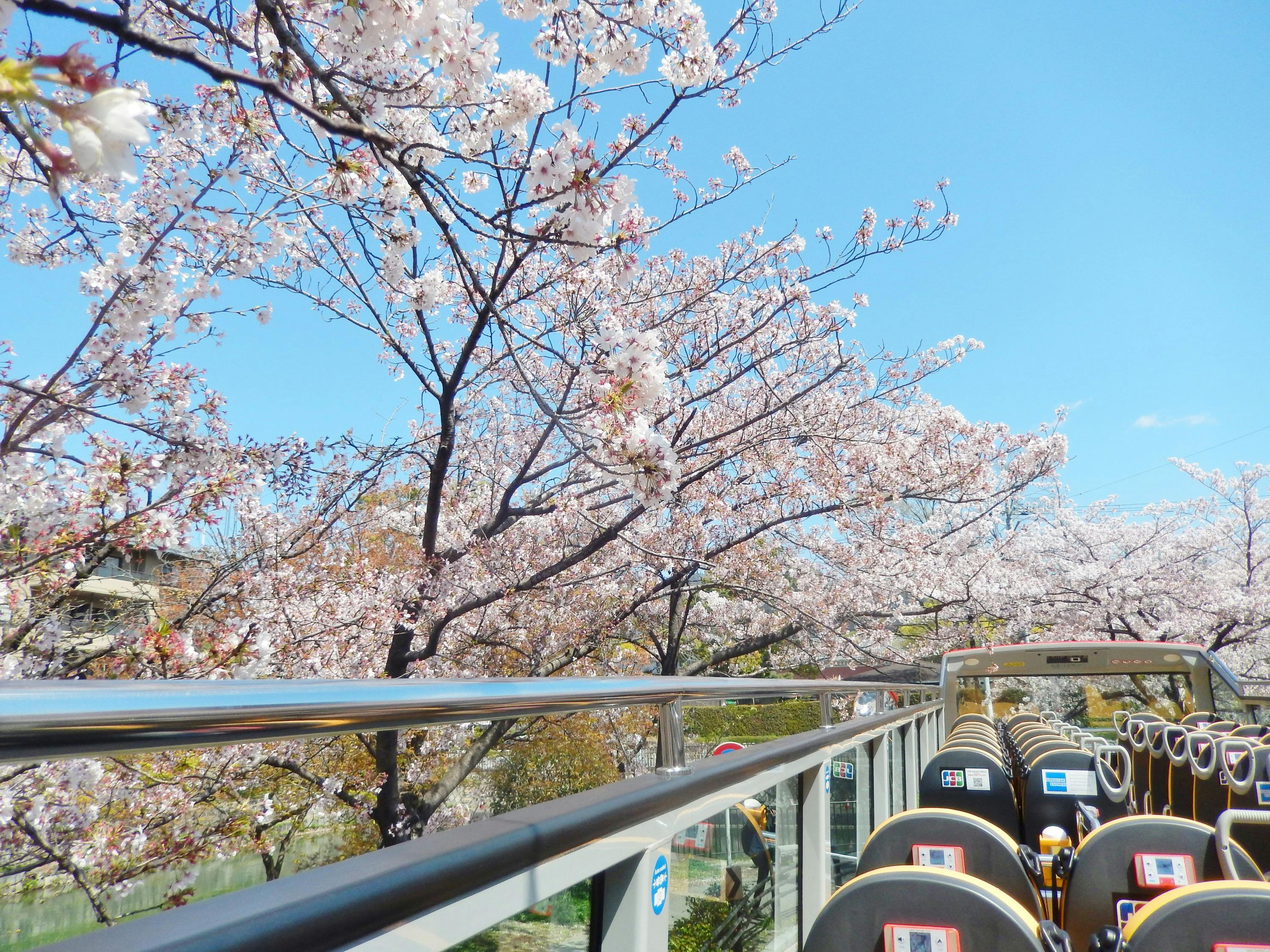 Skyhop Kyoto: Hop-on Hop-off Bus Tour - 2 Day Pass - Photo 4