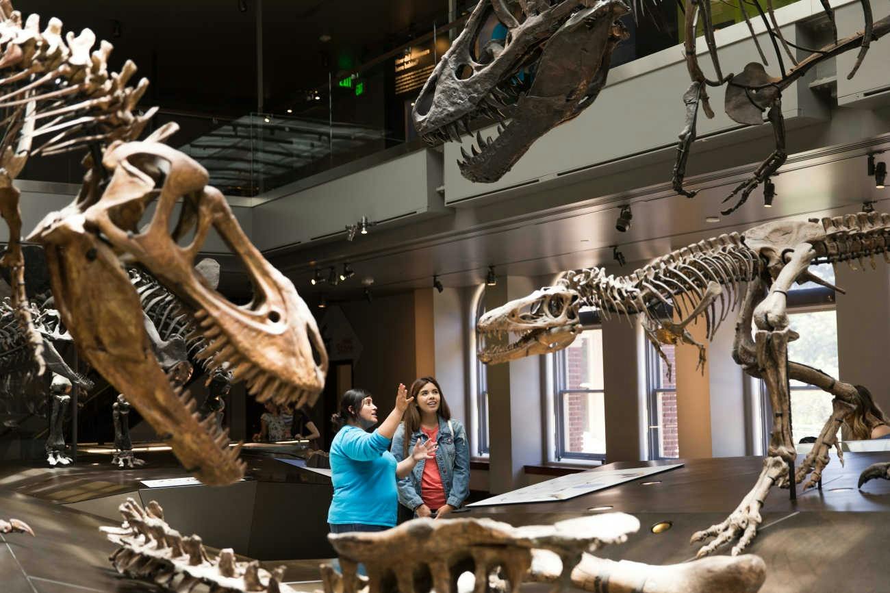 Natural History Museum of Los Angeles County: Guided Insider Tour - Photo 5