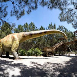 En stor dinosauriemodell och observationsplattform i trä omges av träd under en klarblå himmel.