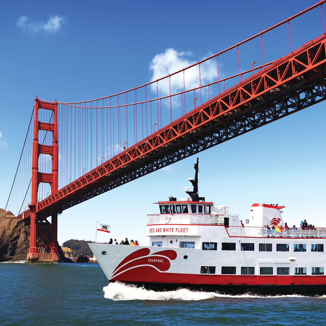 San Francisco: 1-Hour Golden Gate & Bay Area Cruise in San Francisco β Tiqets