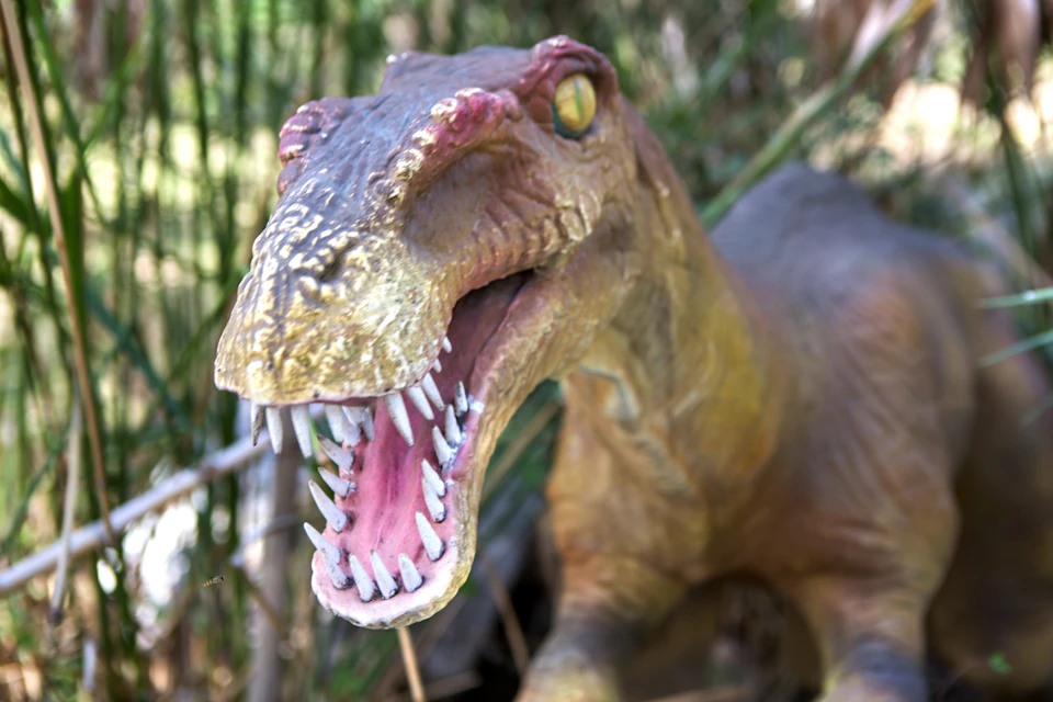 Close-up of a dinosaur sculpture with its mouth open, showing sharp teeth. Greenery is blurred in the background.