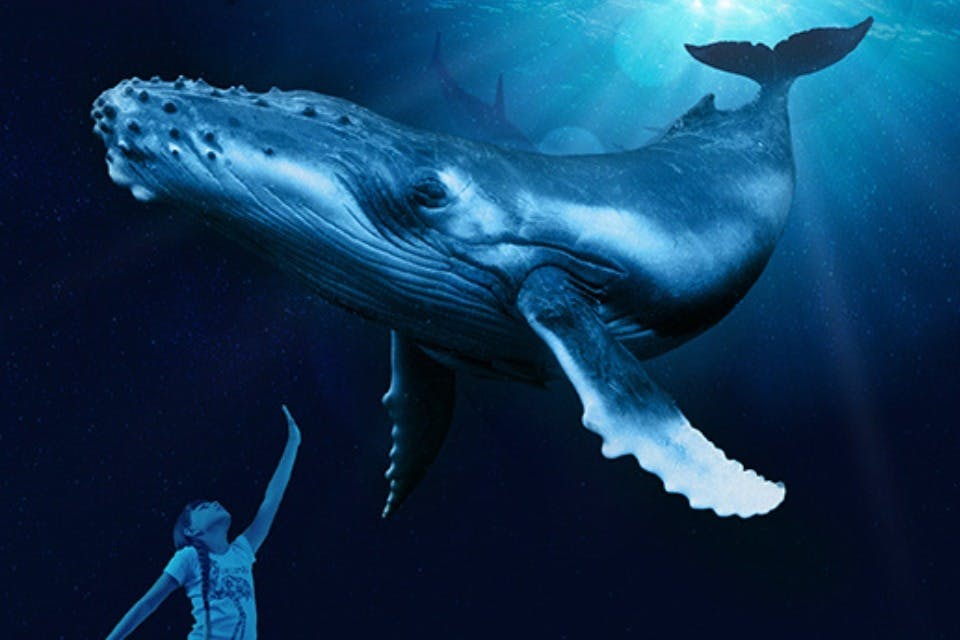 3D 영화관 아쿠아돔