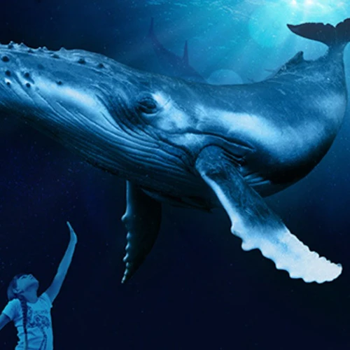 Palma Aquarium: Entry Ticket + Transfer from Cala Ratjada Area - Photo 11