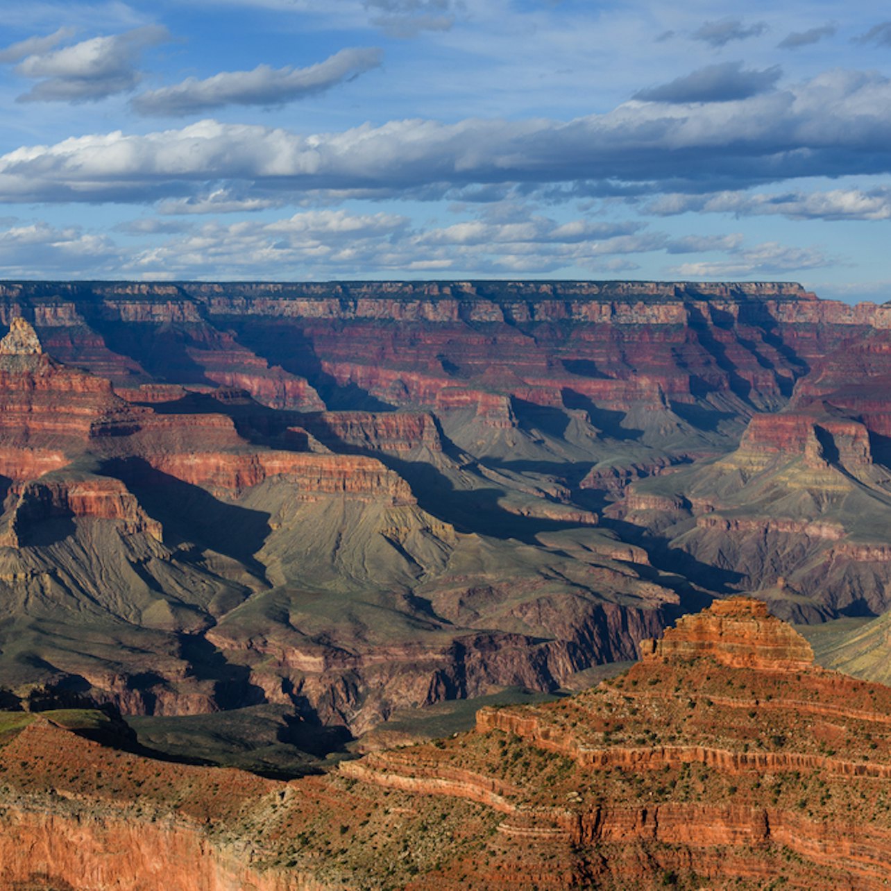 Grand Canyon National Park: South Rim Tour from Las Vegas - Accommodations in Las Vegas