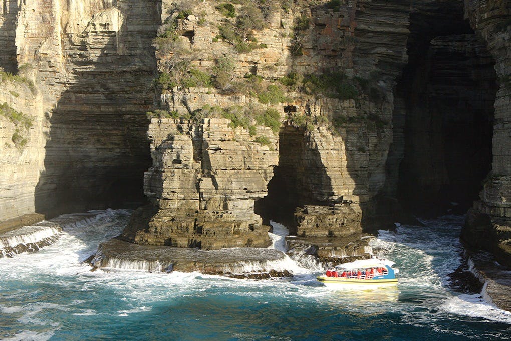Tasman Island: Guided Tour from Hobart + Cruise + Lunch + Optional Port Arthur - Photo 6