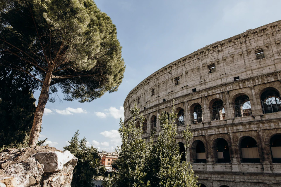 View of the Colosseum in Rome with trees in the foreground and a clear blue sky in the background.