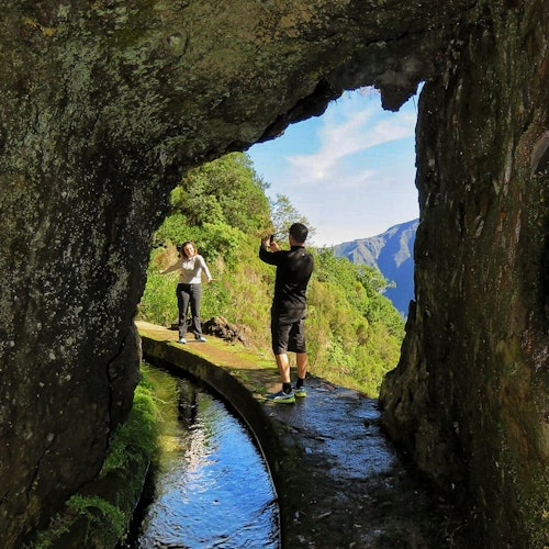 Terrazas encantadas: Excursión guiada a Madeira