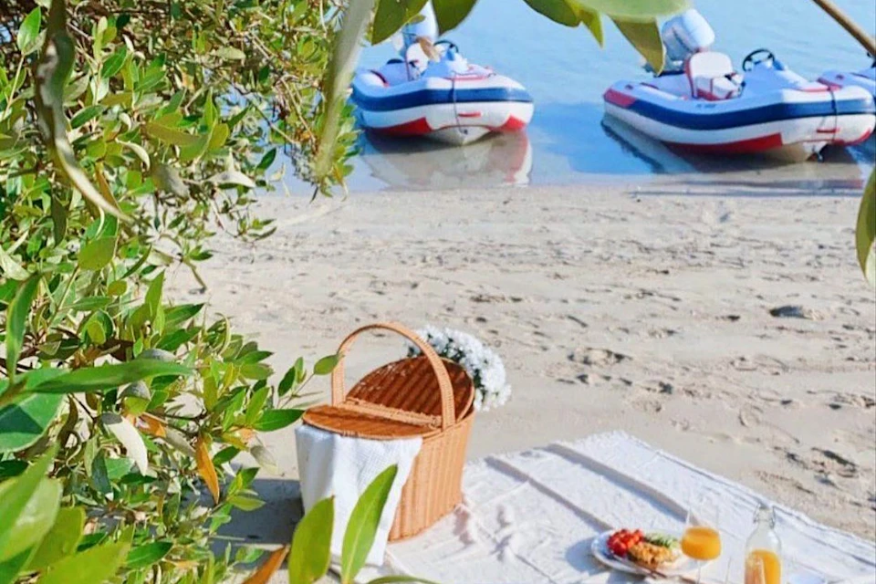 Have a picnic on a private beach across Yas Island.