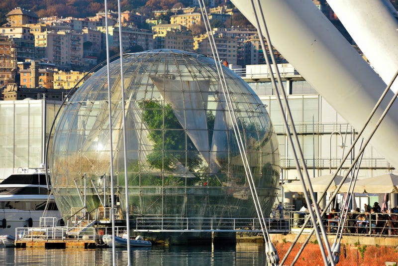 一个巨大的玻璃球，里面有植物和树木，位于水边，背景是城市和山丘。