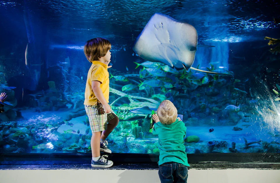 Two children watch a large stingray swimming in an aquarium. Fish and coral are visible in the background.