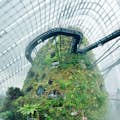Gardens by the Bay - Flower Dome & Cloud Forest