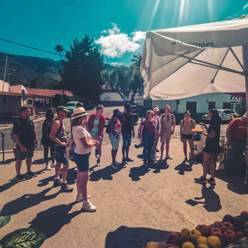 Gran Canaria: Guided Red Canyon Tour + Transfers + Local Products Tasting - Photo 17