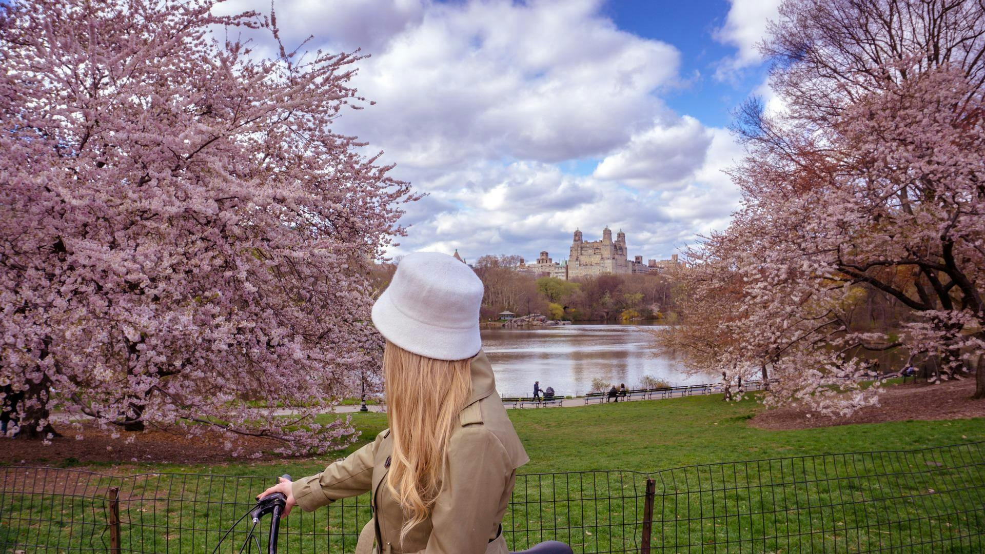A person wearing a white hat and beige coat looks at a lake surrounded by cherry blossoms with a castle-like building in view.
