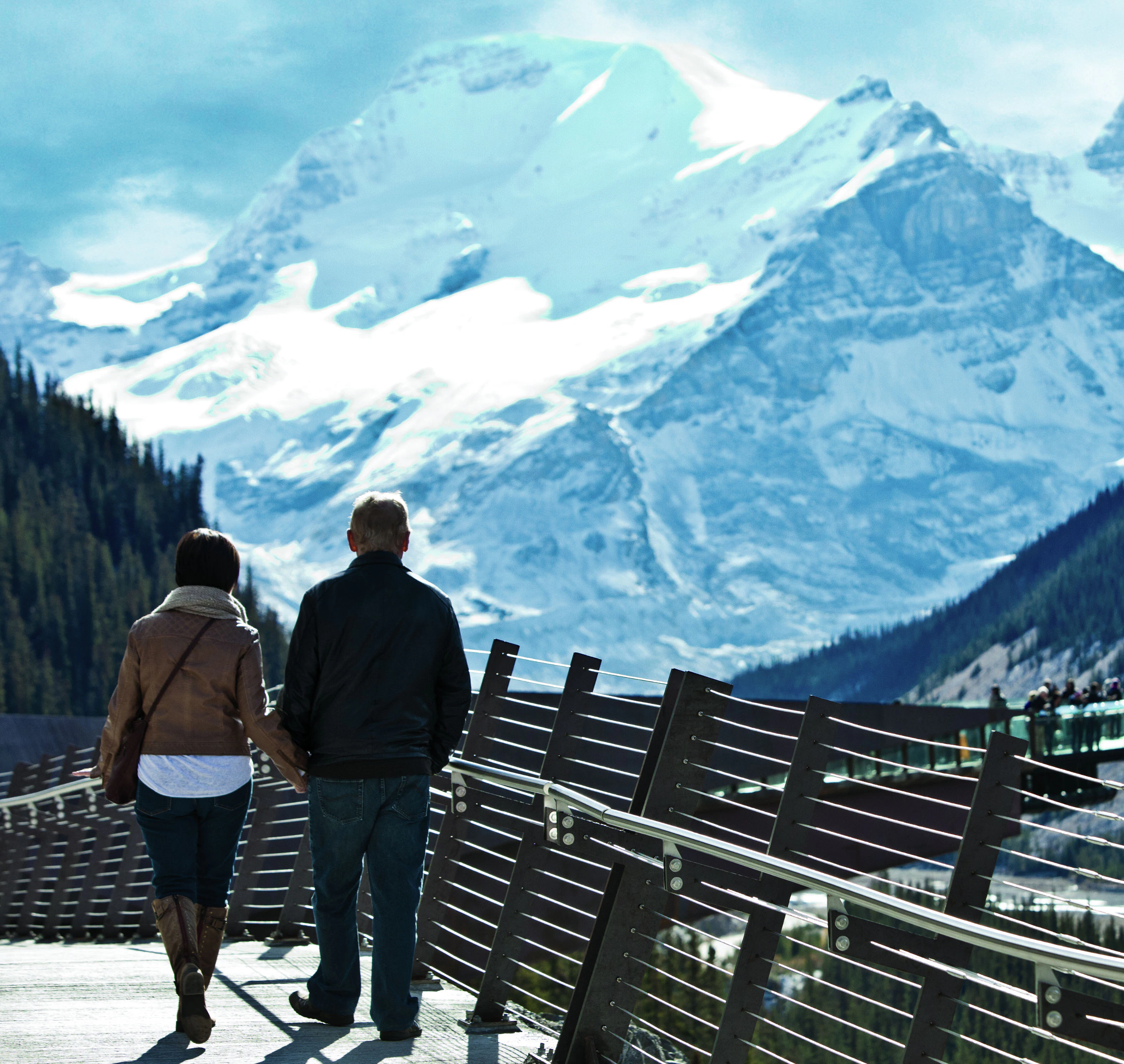 Columbia Icefield Skywalk: Entry Ticket