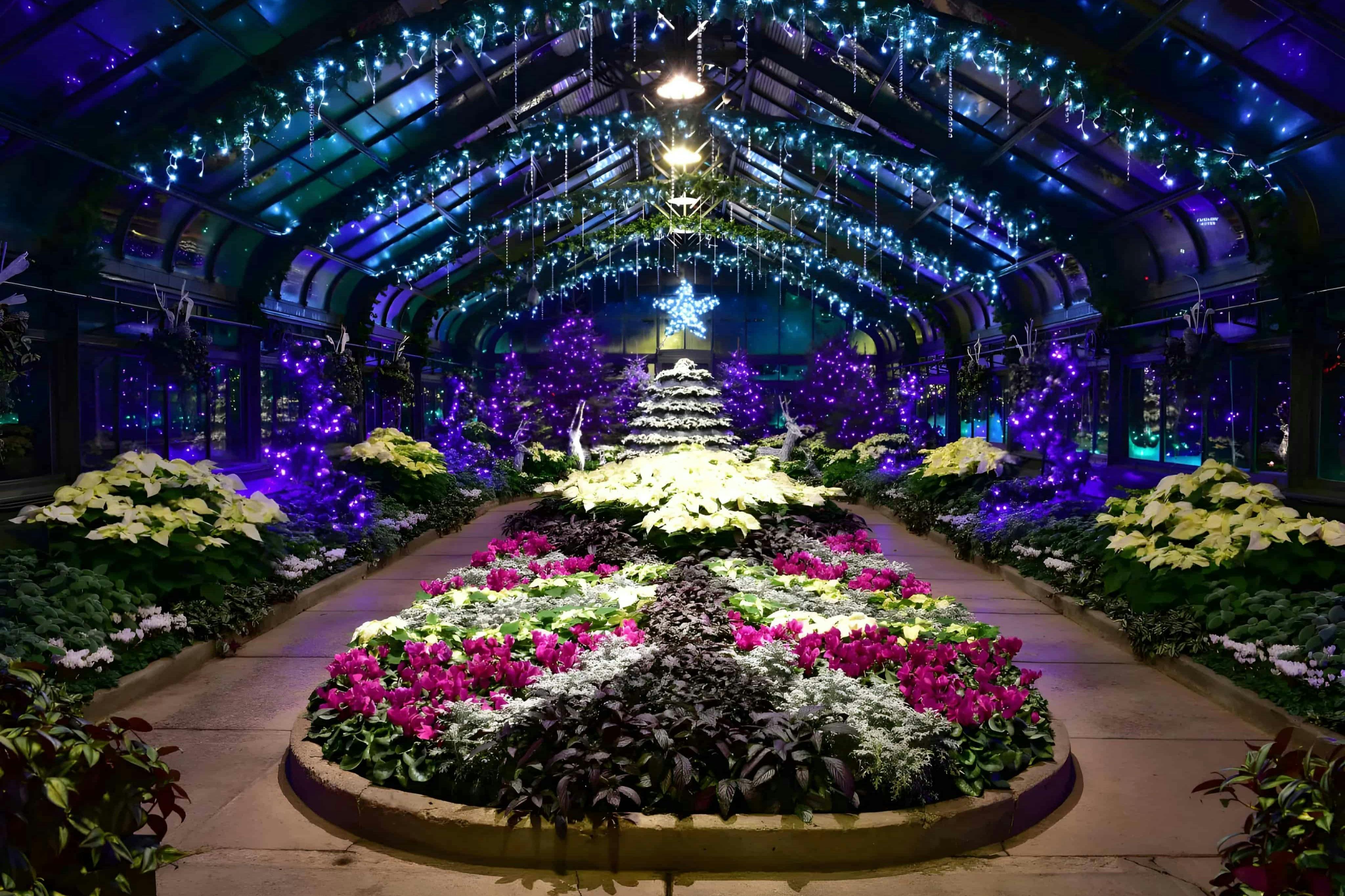 Floral Displays - Available During the Winter Festival of Lights (Approx. Nov 16 to Jan 5, dates vary)