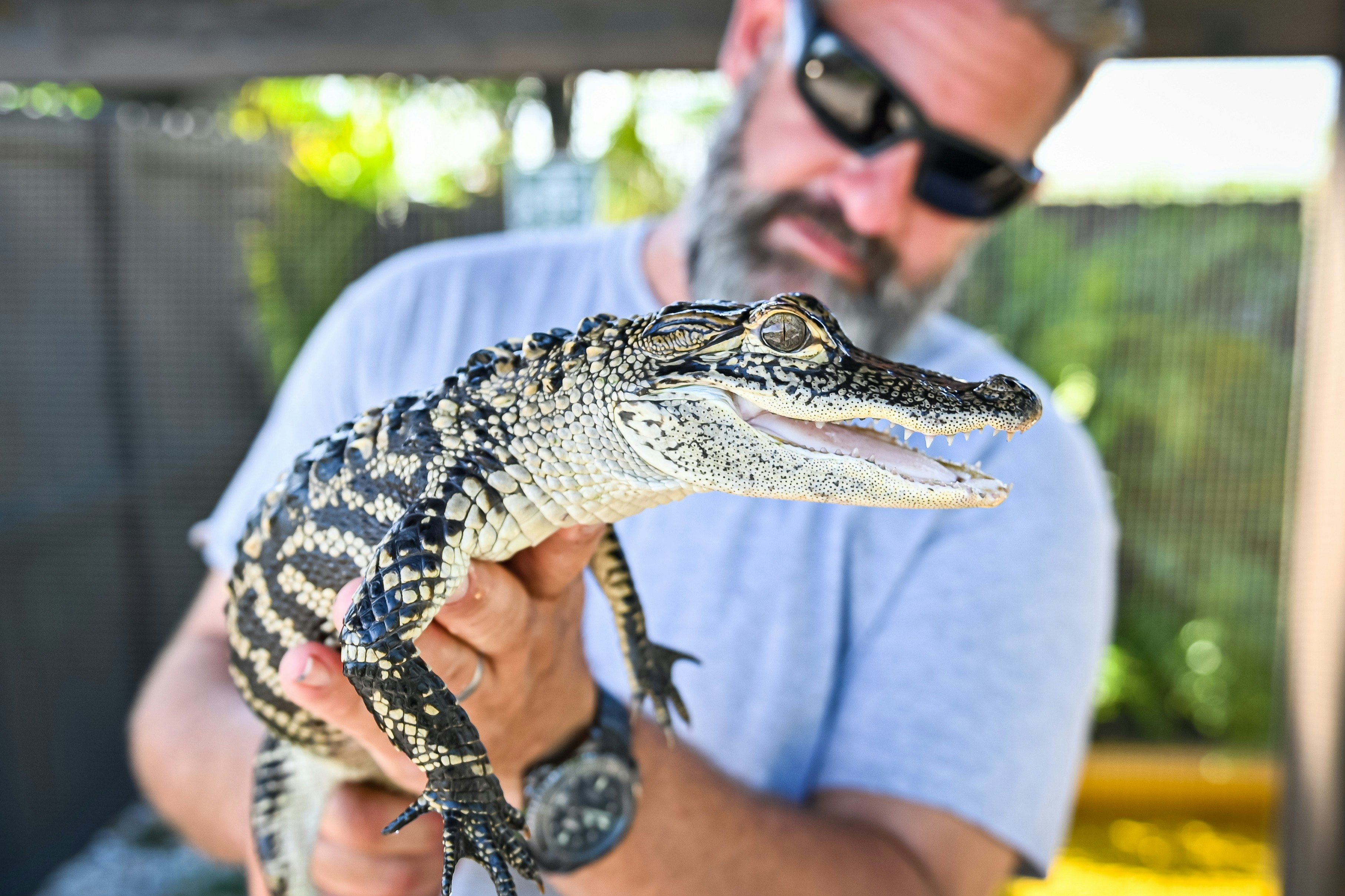 Florida Everglades Adventure Package