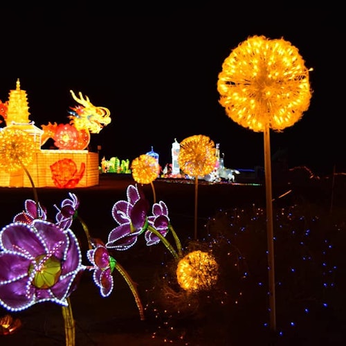 Great Chinese Lantern World: Light Show Tenerife