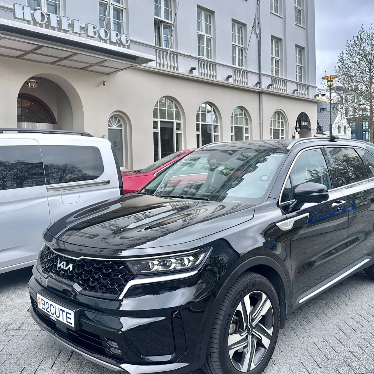 Reykjavik: One-way Private Transfer from Keflavik International Airport