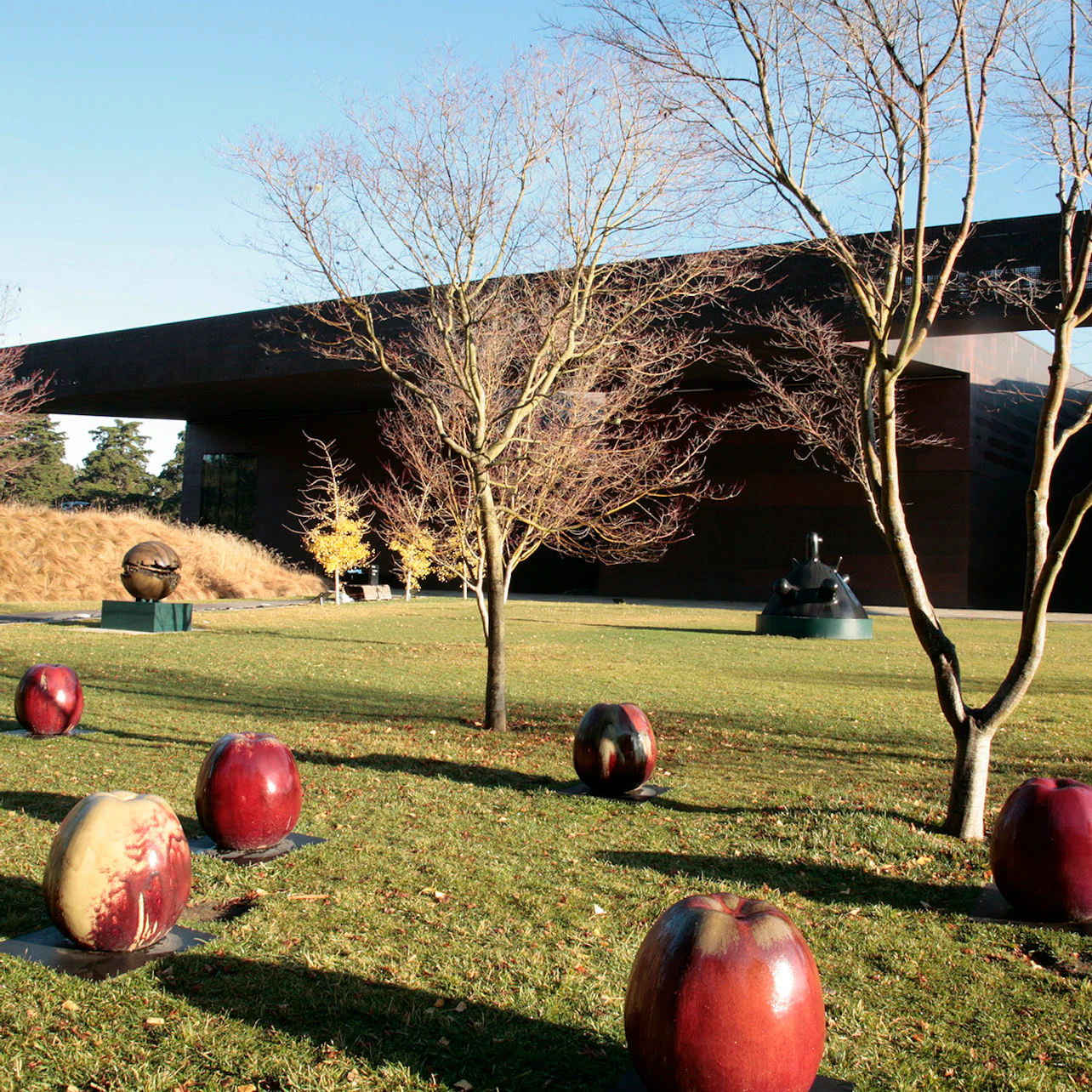de Young Museum: Entry Ticket in San Francisco β Tiqets