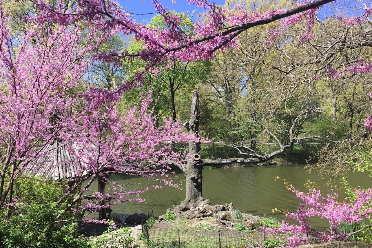Central Park: Walking Tour - Accommodations in New York